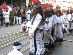 guiness_world_record_2010_9.JPG